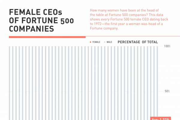 Female CEOs of Fortune 500 Companies infographic